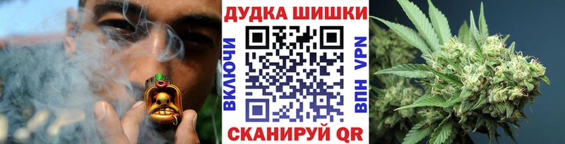 Купить где  Миасс  Канабис OG Kush 